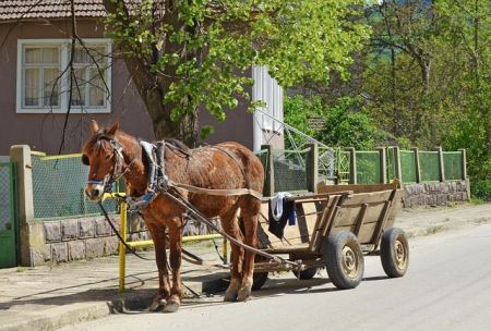 Отворени врати за село: как селският туризъм сближава хората и културата